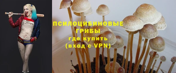 гашик Армянск
