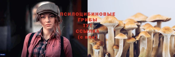 МДМА Арсеньев