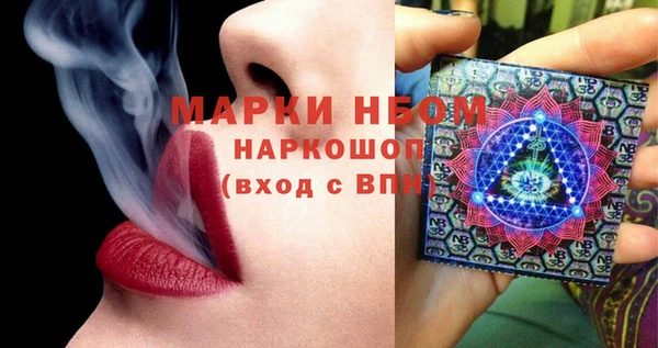 молекула духа Семилуки